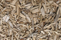 biomass boilers Moorledge